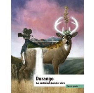 Libro Durango. La entidad donde vivo de tercer grado de primaria de la SEP – Descarga en PDF