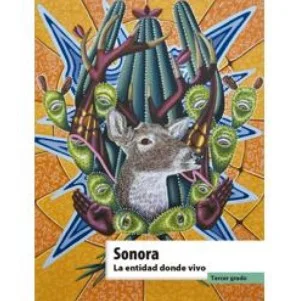 Libro Sonora. La entidad donde vivo. Libro de la SEP de tercer grado de primaria – Descarga en PDF